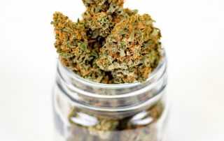 Marijuana Weed Cannabis CBD
