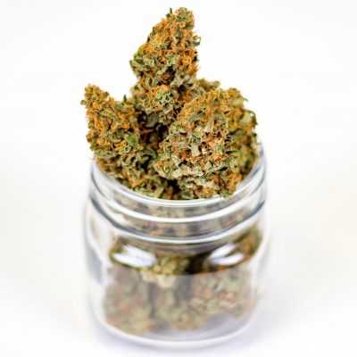 Marijuana Weed Cannabis CBD