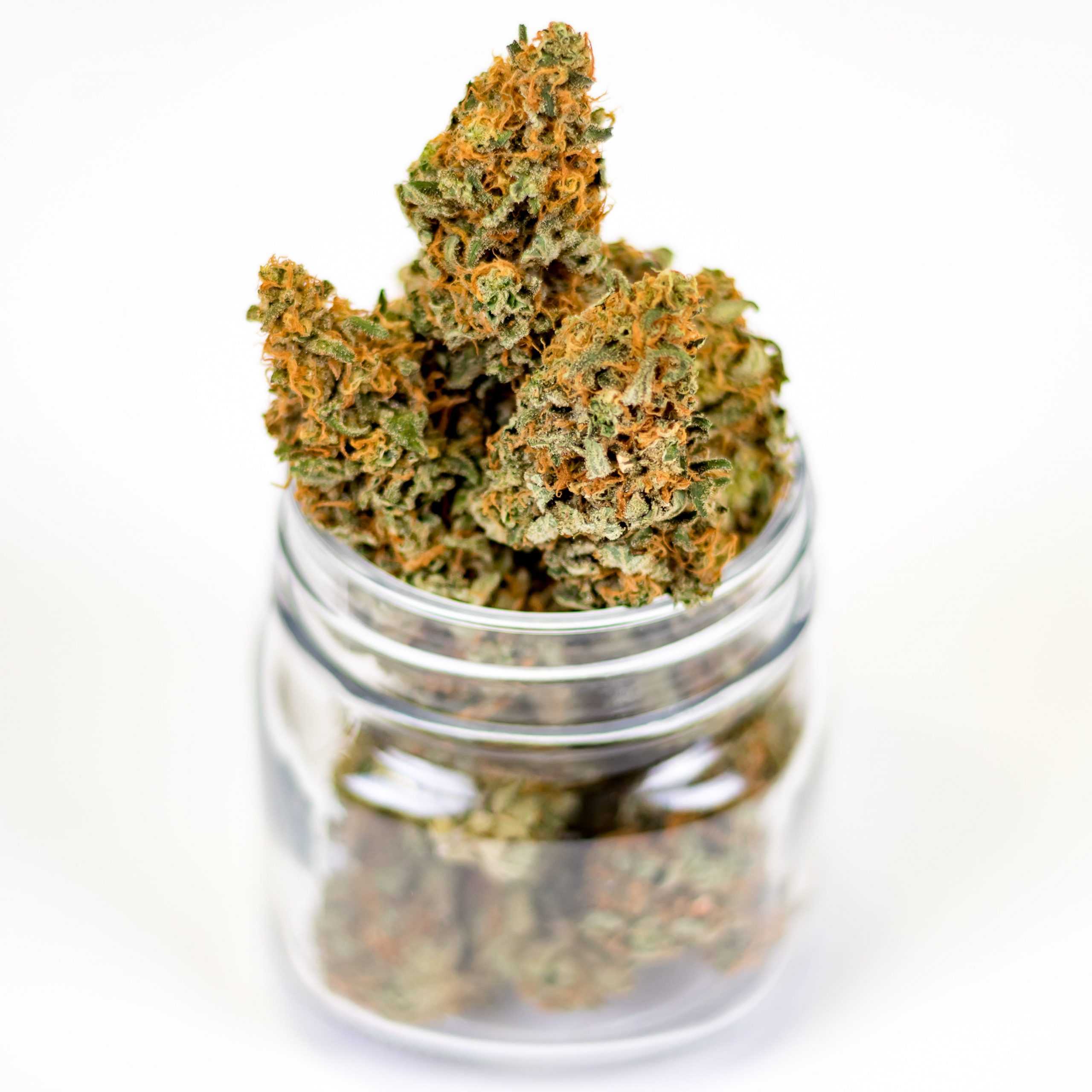 Marijuana Weed Cannabis CBD